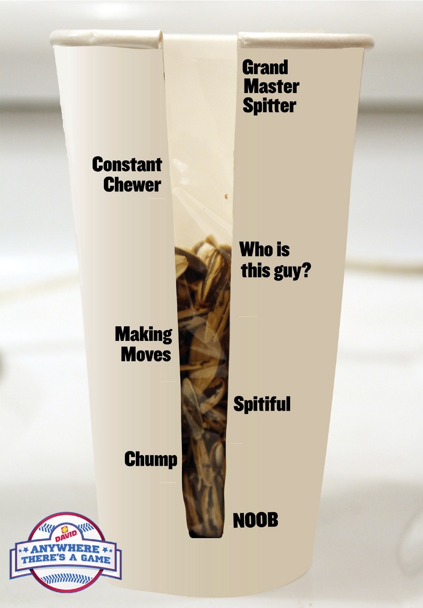 David's Sunflower Seeds elyse christine